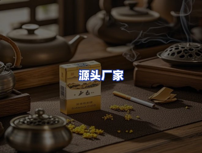 专业团队
